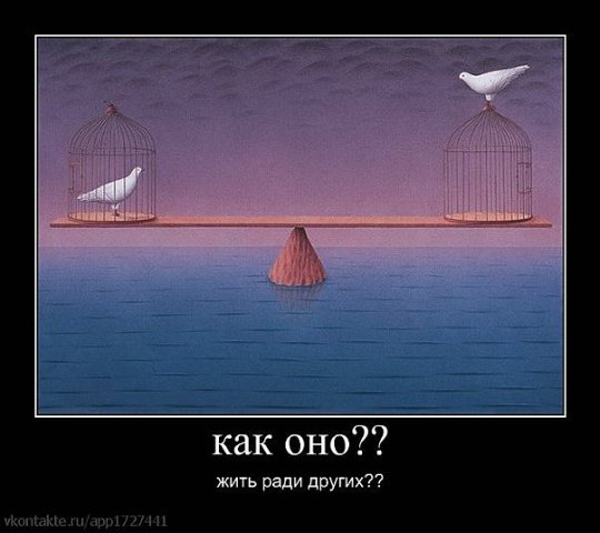  (540x480, 38Kb)