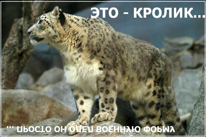    (699x466, 58 Kb)