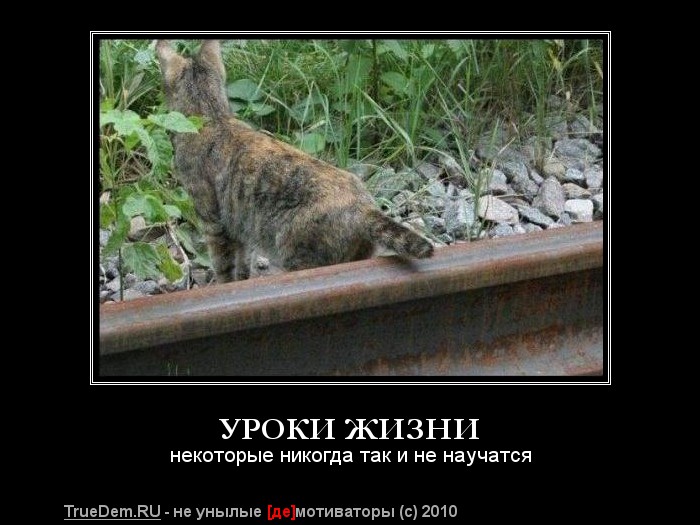  (700x525, 87Kb)