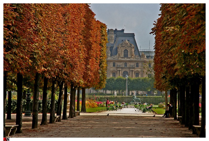 Jardin des Tuileries 012 (700x474, 159 Kb)