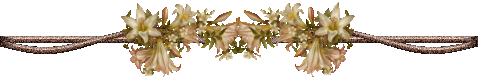 3 (478x77, 24 Kb)