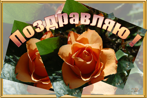 (500x333, 312Kb)