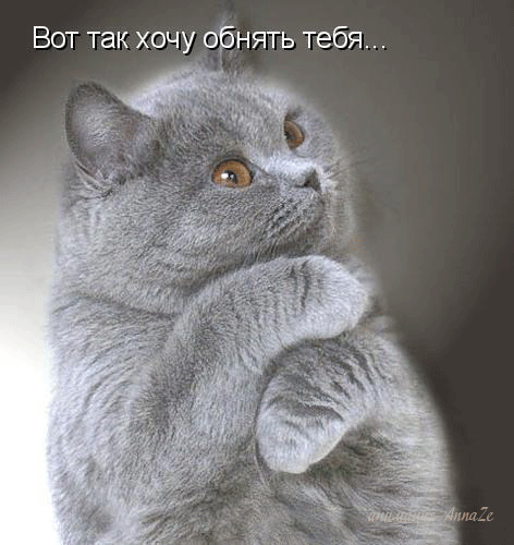 http://img1.liveinternet.ru/images/attach/c/2//69/545/69545886_vot_tak_hochu_tebya_obnyat.gif