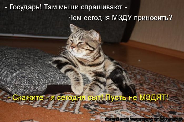 http://img1.liveinternet.ru/images/attach/c/2//69/623/69623674_1295732189_kotomatrix_18.jpg