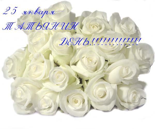  (600x500, 35Kb)