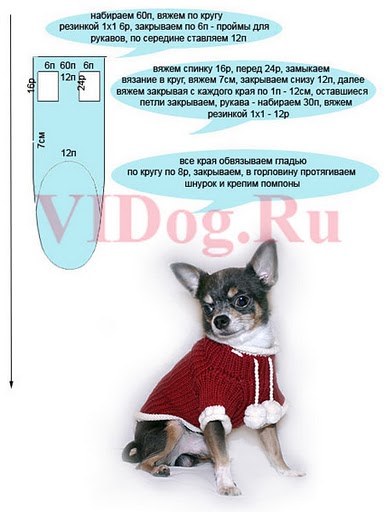 Шьем одежду для собак своими руками (65 фото) - картинки natali-fashion.ru