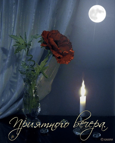 21 (446x551, 227 Kb)