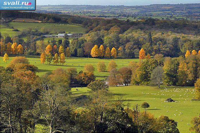 Поместье Лонглит (Longleat Estate), Великобритания (696x464, 97 Kb)