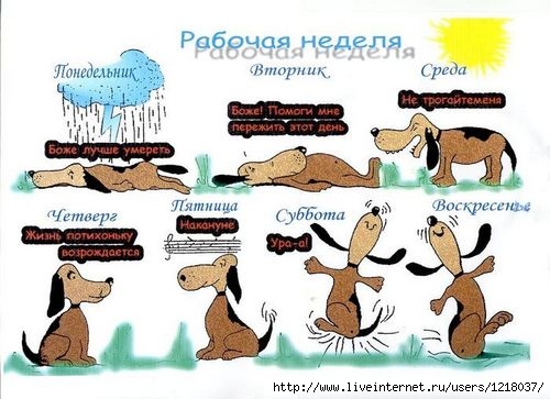 (500x363, 126Kb)