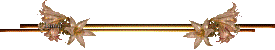  (275x50, 3Kb)