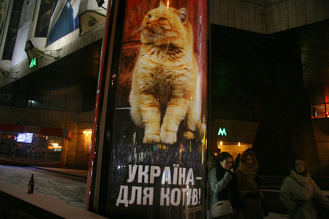  (640x426, 107Kb)