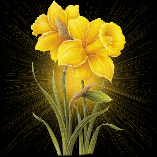 70360025_19 (500x500, 171 Kb)