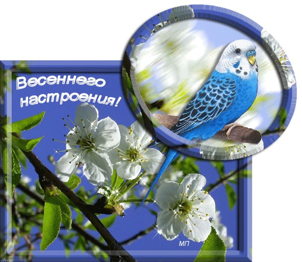 99321b13f341 (600x521, 242 Kb)