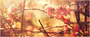  (300x125, 94Kb)