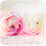  (150x150, 34Kb)