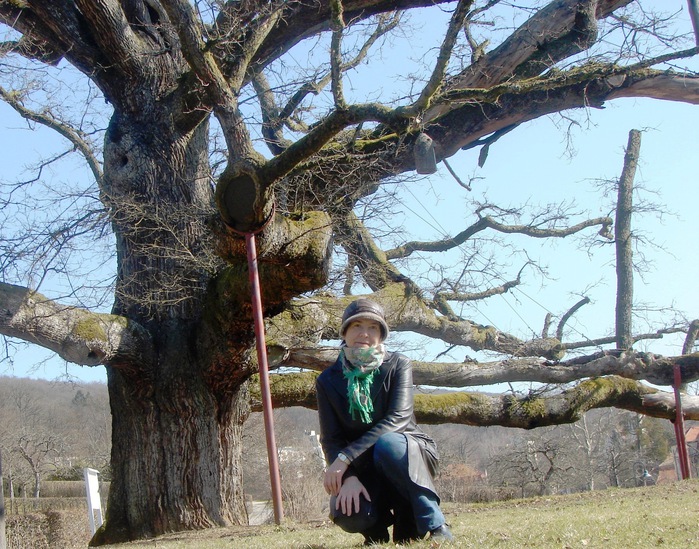 DSC08310 (699x549, 195 Kb)