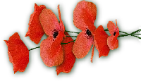 (200x115, 39Kb)