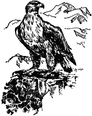  (317x400, 16Kb)
