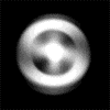 (100x100, 11Kb)