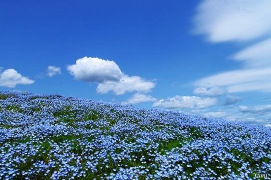 (550x366, 72Kb)