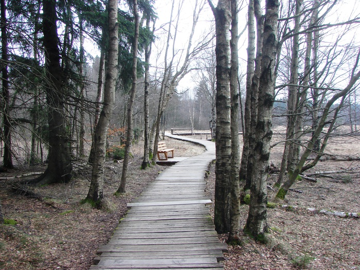 DSC08527 (700x525, 220 Kb)