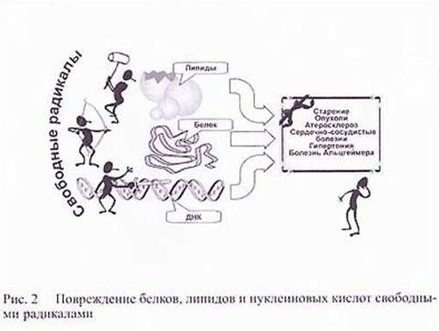 Свободные радикалы картинки