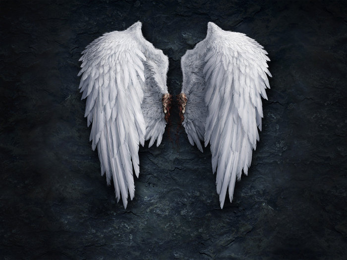 http://img1.liveinternet.ru/images/attach/c/2/64/413/64413802_Creative_Wallpaper_Angel_Wings_021839_.jpg