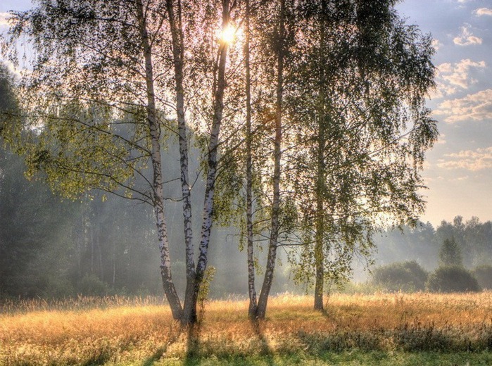 Апрельские пейзажи фото