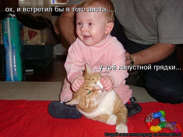 http://img1.liveinternet.ru/images/attach/c/2/65/665/65665306_1287828332_kotomatrix_16.jpg