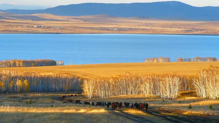 Лето на новой земле фото