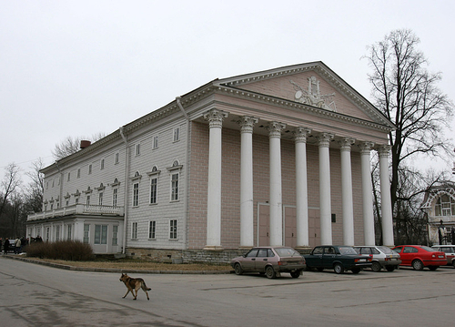 Шкода на василеостровском острове