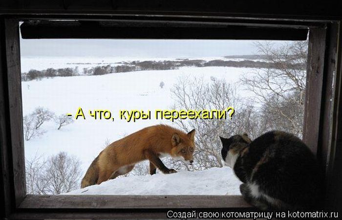 http://img1.liveinternet.ru/images/attach/c/2/65/929/65929639_kotomatri_13.jpg