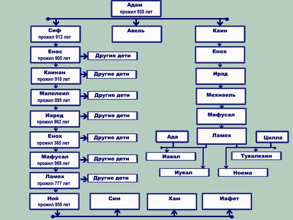 Родословная иисуса христа от адама схема