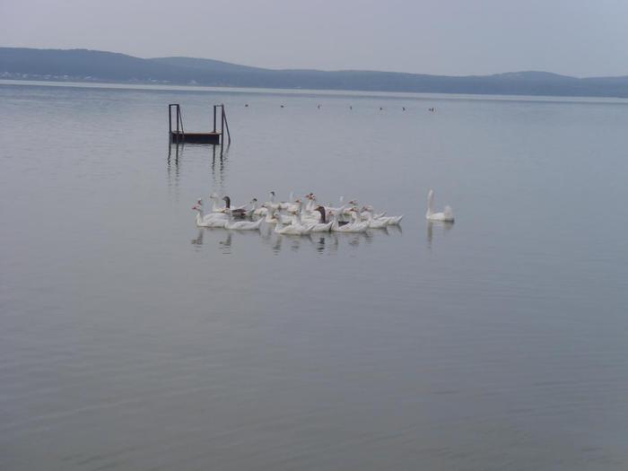 Сады верхнеуральское водохранилище