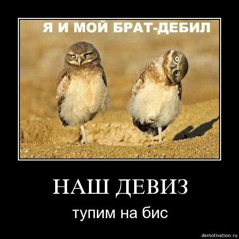 http://img1.liveinternet.ru/images/attach/c/2/66/941/66941070_b055a44b78334f1b2ee02d75cd39a6d2.jpg