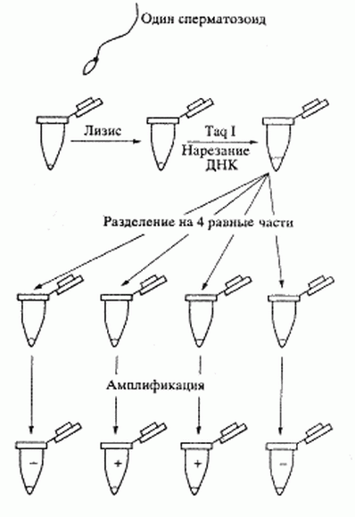 Схема постановки эксперимента