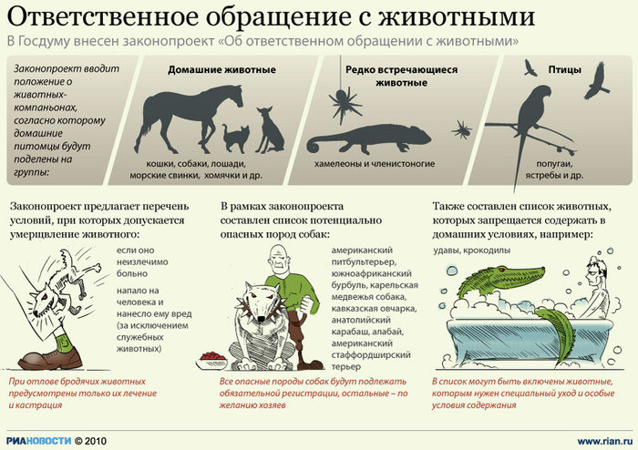 Меры по охране диких животных проект