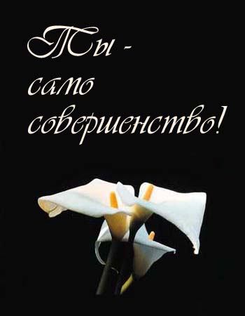 Ты Само Совершенство Гифки