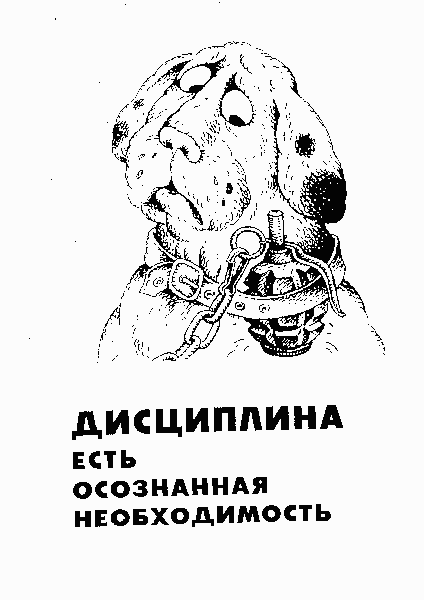 Осознать необходимость. Дисциплина есть осознанная необходимость. Осознанная необходимость собака с гранатой. Переведенцева Лидия Григорьевна. Дисциплина и есть Свобода.