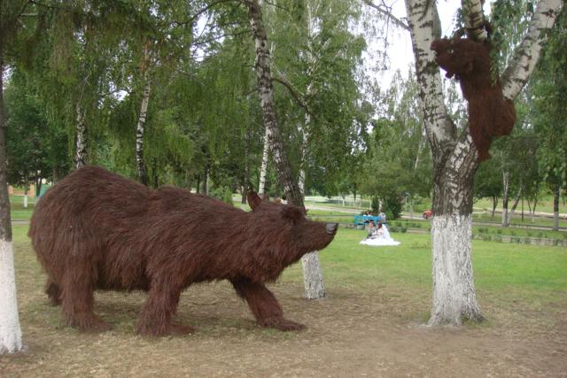 Медведь Орел Мамба