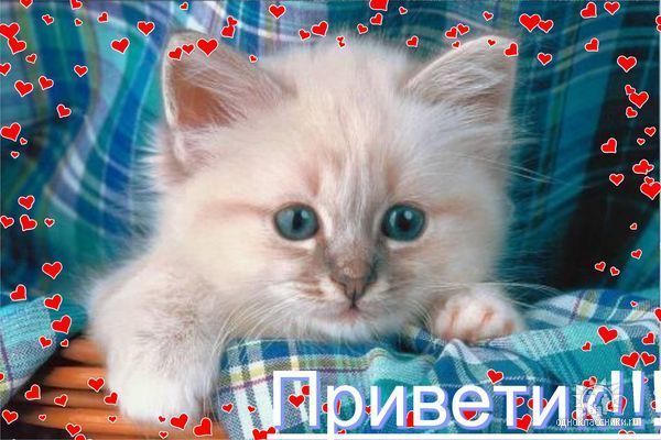 http://img1.liveinternet.ru/images/attach/c/2/70/200/70200166_privetik.jpg