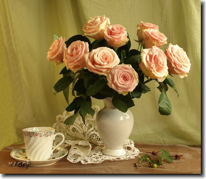 Чайные розы картинки