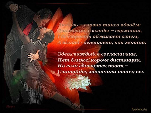 Стихотворение про танец. Танец любви стихи. Стихи о танго. Танго любви-стихи. Аргентинское танго стихи.