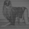 3836039_72444110_tumblr_lhzw2qOQrj1qhjm98o1_500_large (100x100, 16Kb)