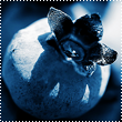 bb_02 (110x110, 26Kb)