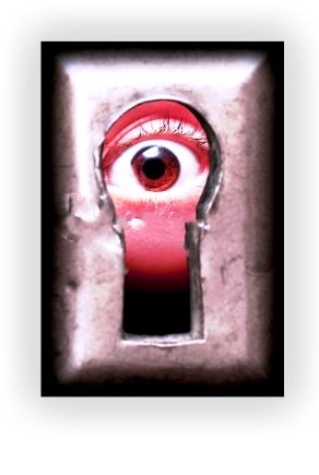 3996605_monitoring2 (292x435, 165Kb)