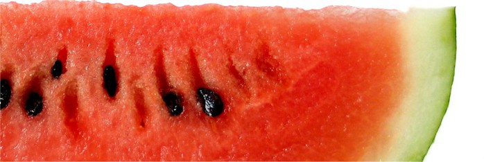 watermelon (700x234, 45Kb)