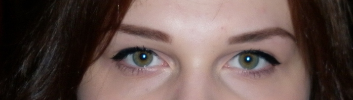 P1000084 (700x198, 68Kb)