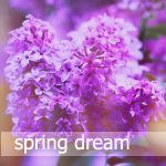 3749748_spring-dream (150x150, 33Kb)