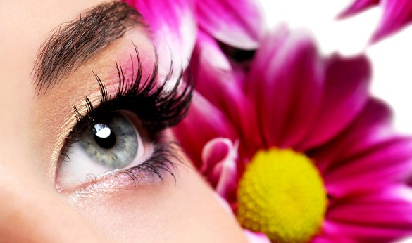 3571750_grow-eyelashes-lilash1 (585x346, 35Kb)